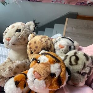 Bundle of 5 realistic animals used condition
